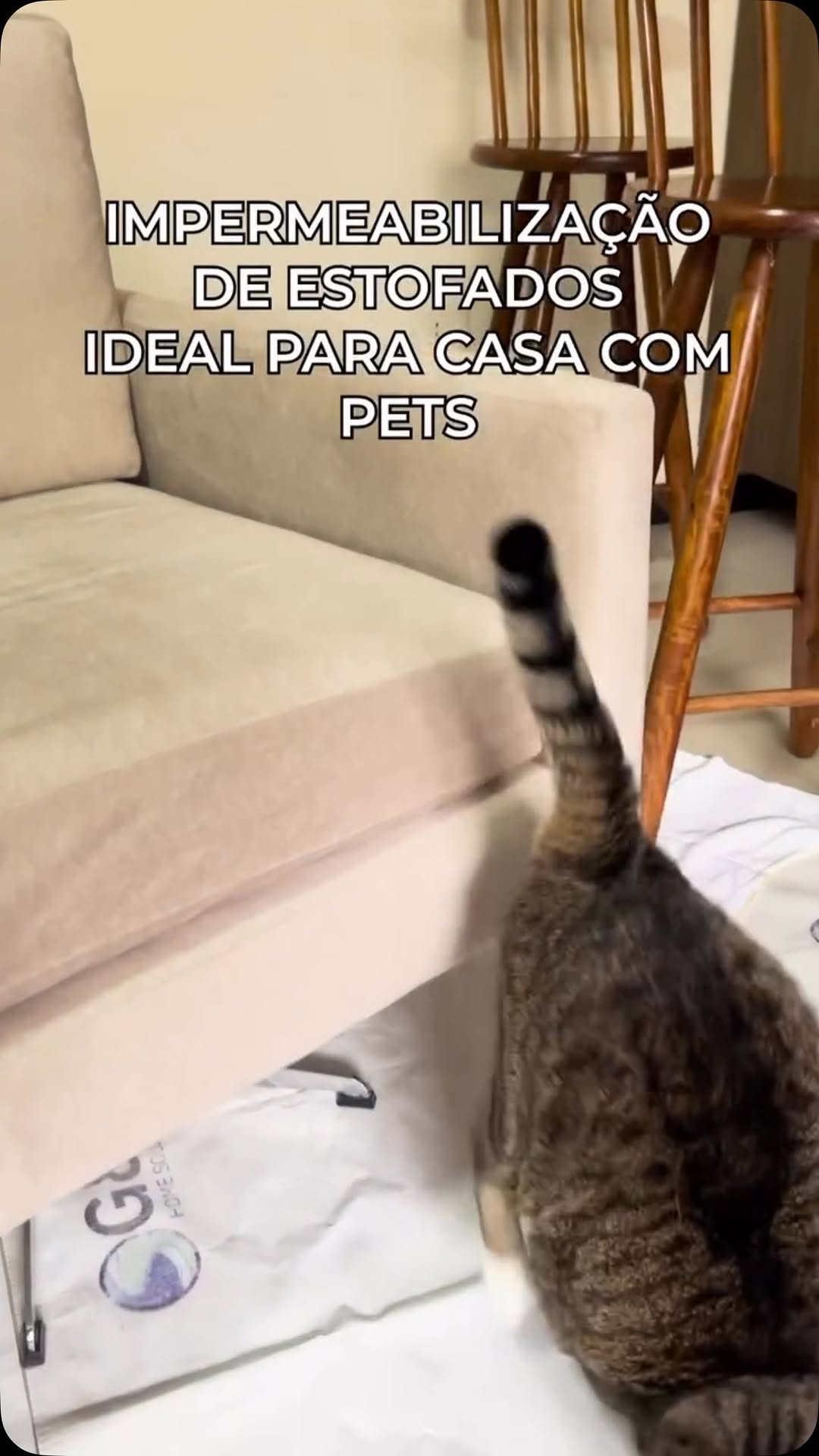 Vídeo mencionando tecnologia que elimina mau odor do xixi do pet.